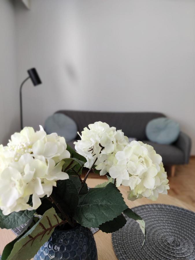Niinivaara Apartment Saunallinen Ja Ilmastoitu Majoitus 요엔수 외부 사진